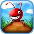 口袋蚂蚁 Pocket Ants游戏