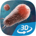 细菌互动教育3D游戏