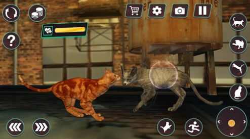 猫咪格斗战争模拟器下载安装手机版图片1