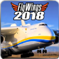 FlyWings 2018°